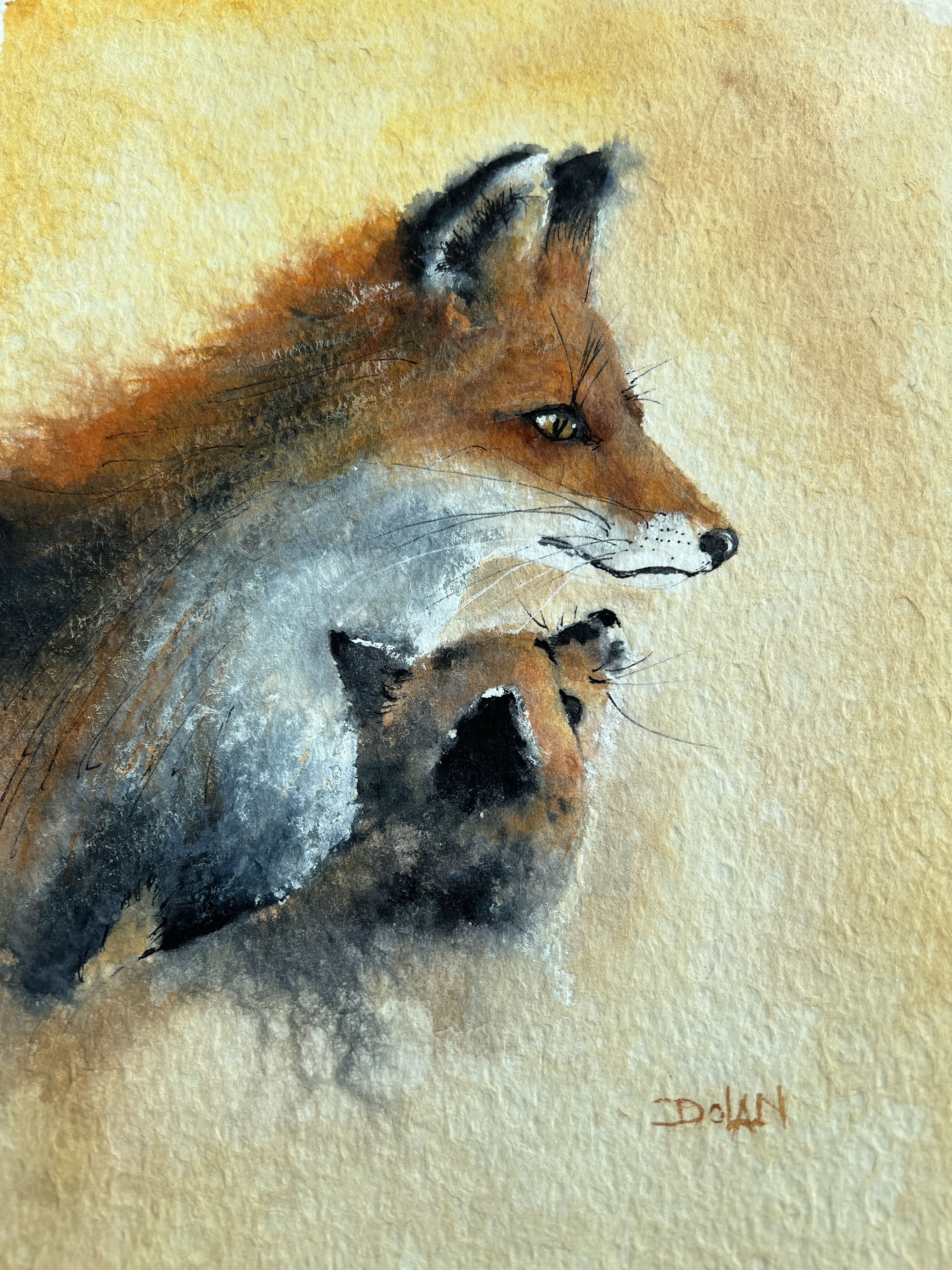 Fox Kit Jpg